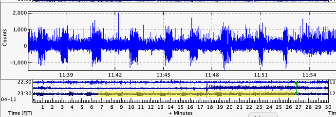 Screen Shot 2022-04-11 at 12.00.17 am
